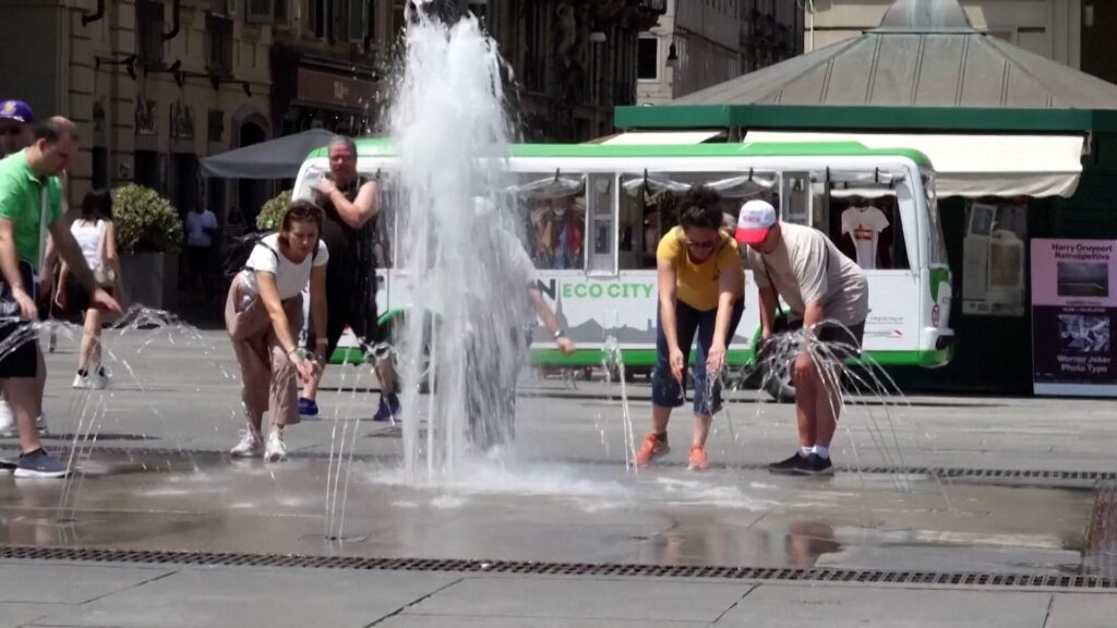 Europe heatwave scorches cities and wildlife | News