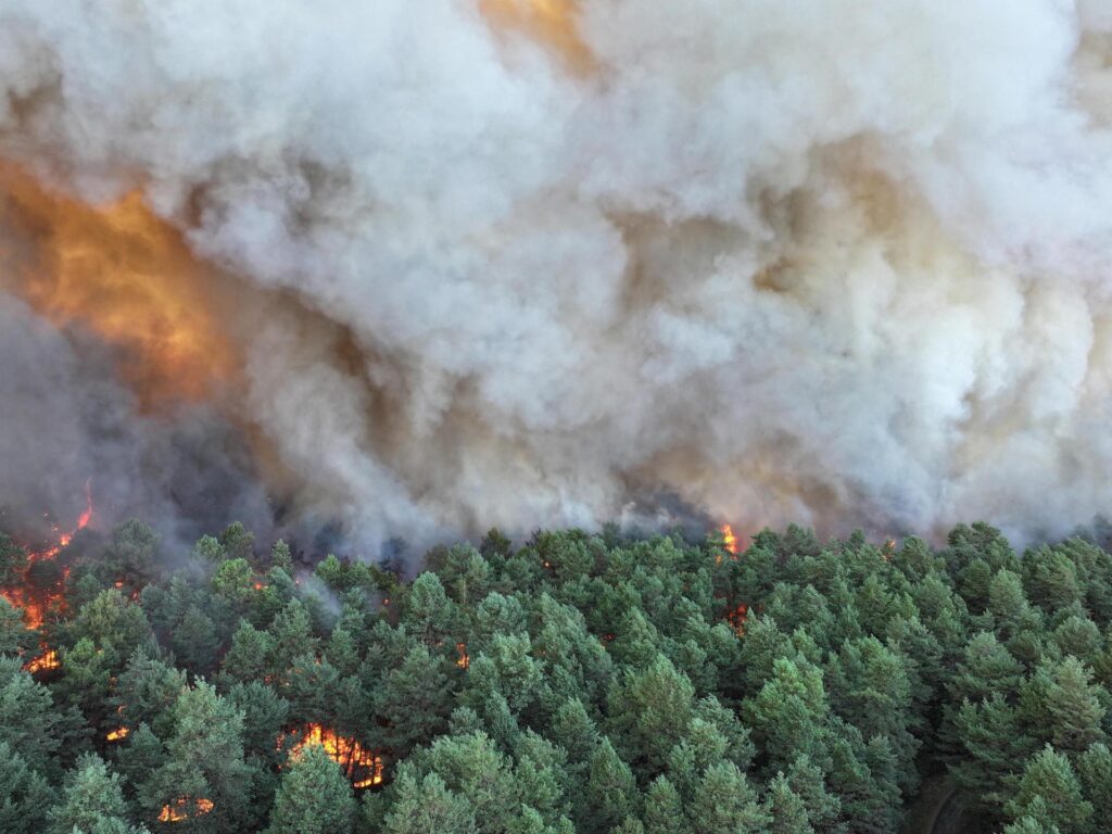 Wildfires near Paris force evacuations, disrupt train lines and motorway | News