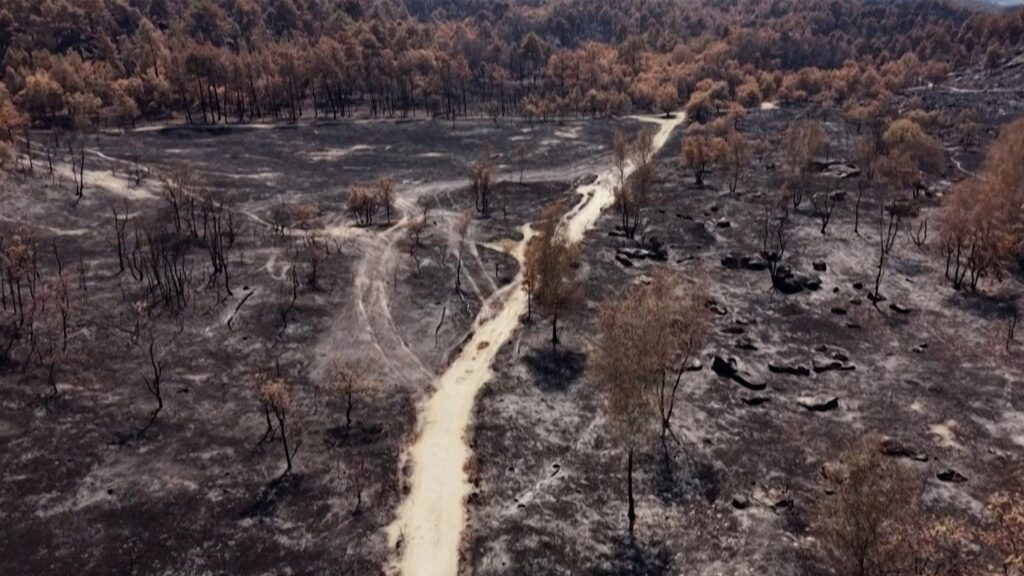 ‘First somewhat optimistic day’ in France since fire outbreak says prefect | Climate