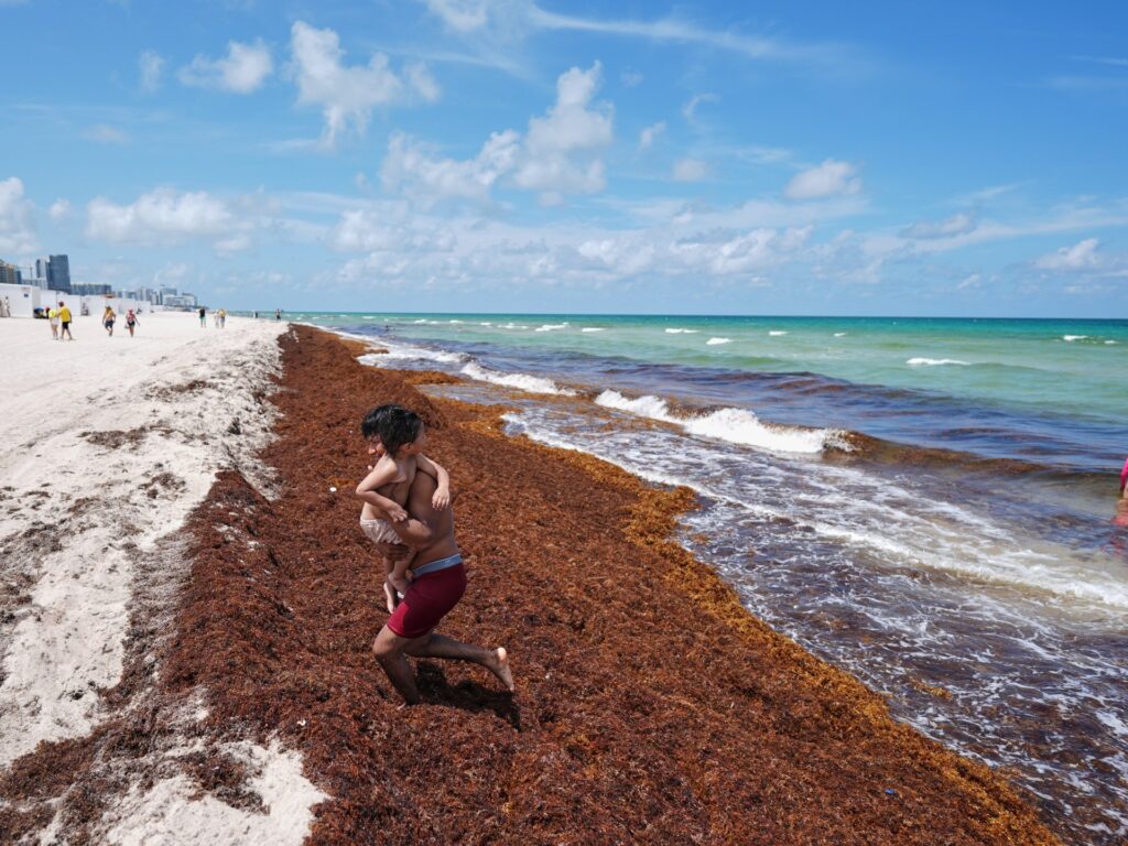 Global ocean temperatures hit record high as El Nino intensifies | Climate Crisis News