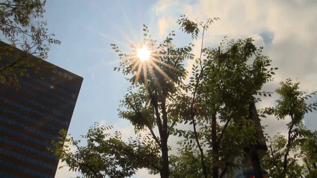 Record-high heat soars through South Korea | Environment