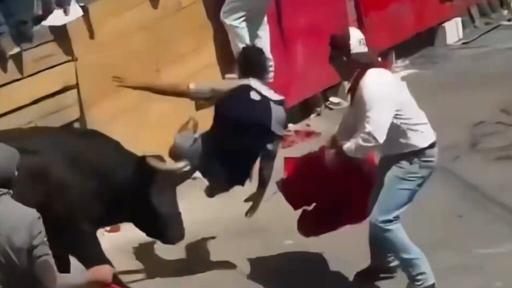 Man killed in world’s largest annual bullfighting event in Mexico | Newsfeed