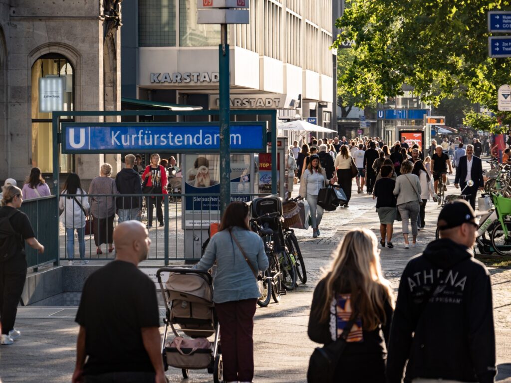 ‘Hope’ rises in Berlin immigrant communities as Left wins amid AfD gains | Elections News
