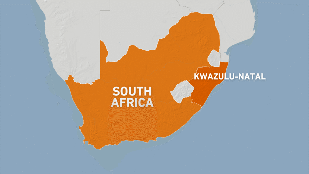 At least 11 people killed in South Africa township shooting | Gun Violence News